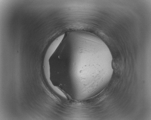 X0000070170454200606231925