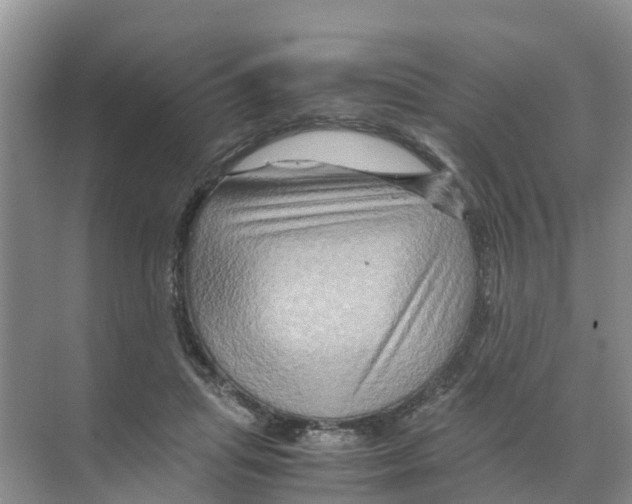 X0000070170455200606231925