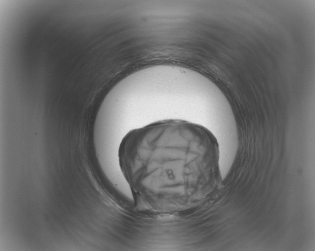 X0000070170456200606231925