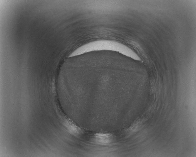 X0000070170457200606231925