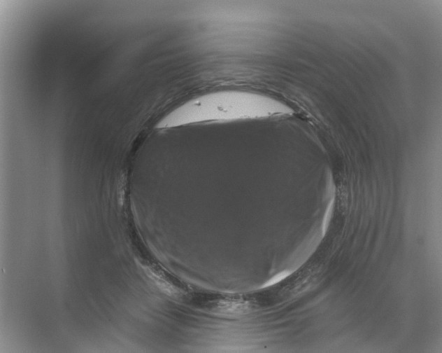 X0000070170458200606231925