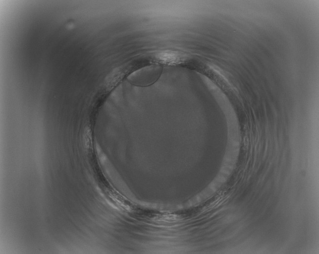 X0000070170459200606231925