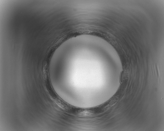 X0000070170460200606231925