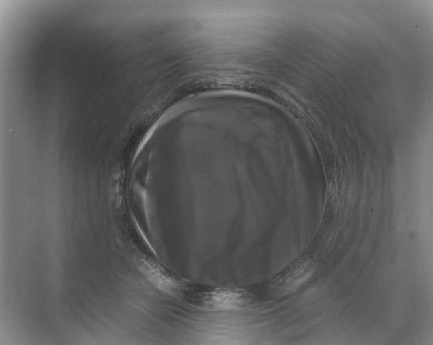 X0000070170462200606231925