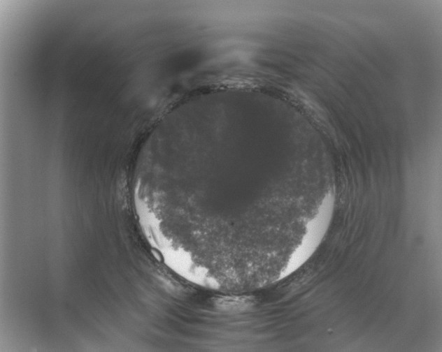 X0000070170465200606231925