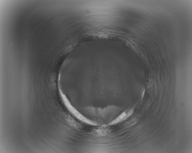 X0000070170466200606231925