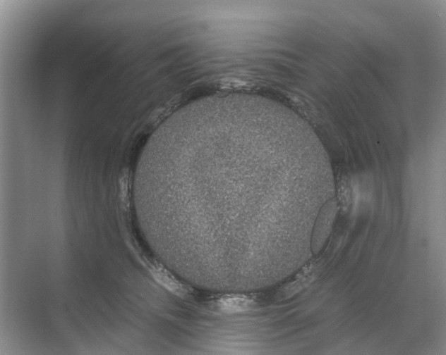 X0000070170468200606231925