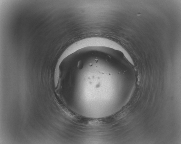 X0000070170470200606231925