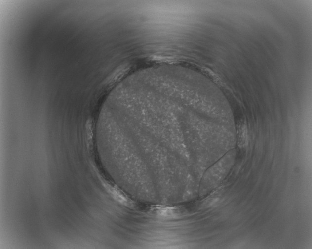 X0000070170472200606231925