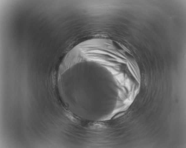 X0000070170475200606231925