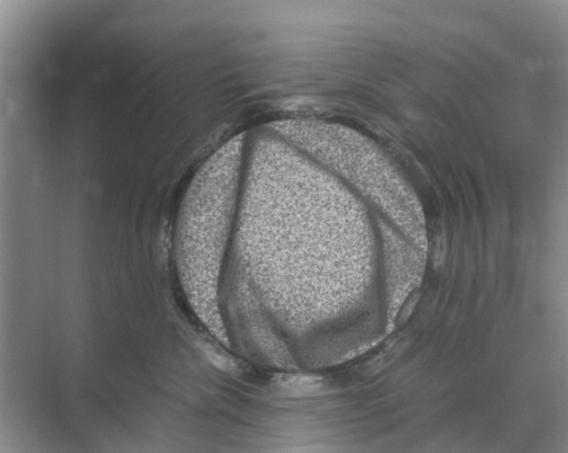 X0000070170476200606231925