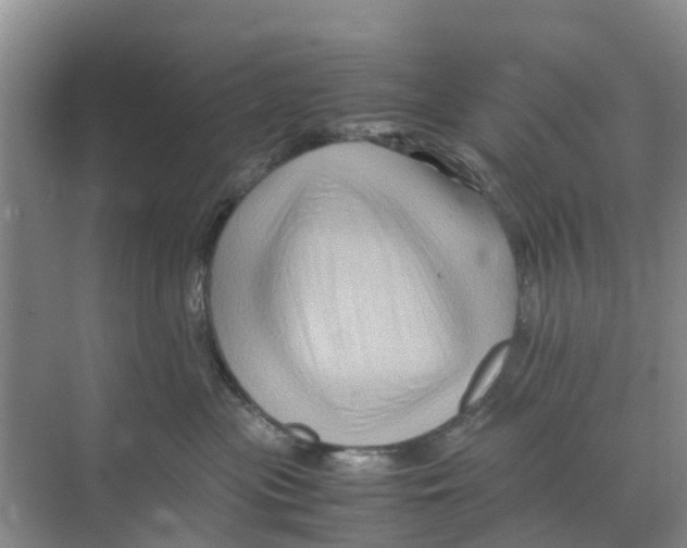 X0000070170477200606231925