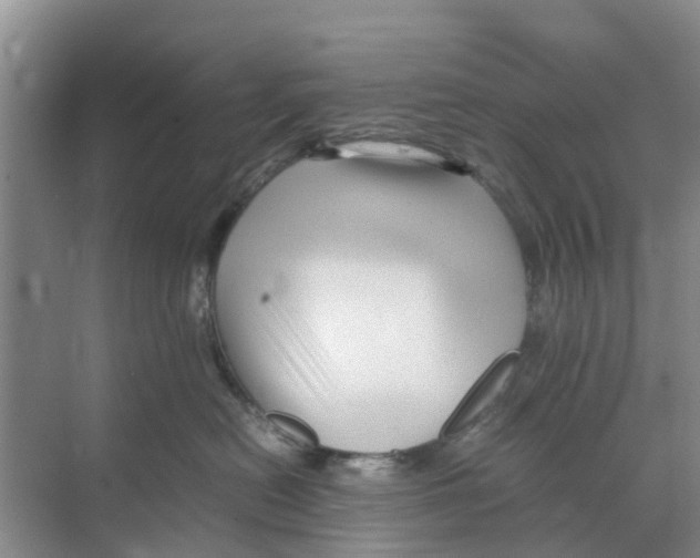 X0000070170478200606231925