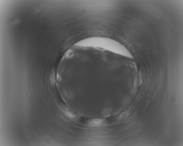 X0000070170479200606231926