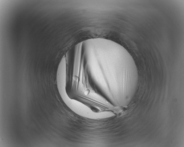 X0000070170480200606231926