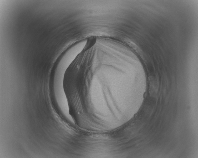 X0000070170482200606231925