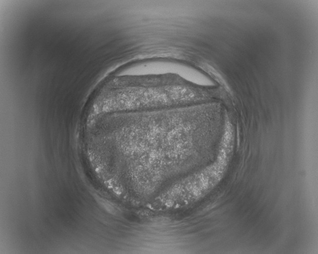 X0000070170483200606231925