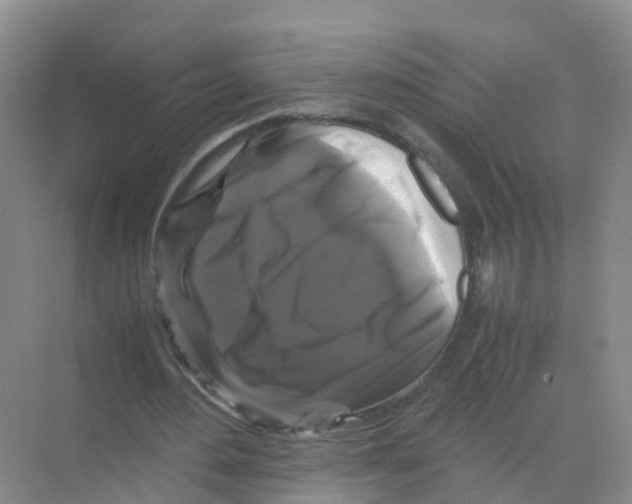 X0000070170484200606231925