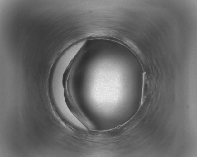 X0000070170485200606231925