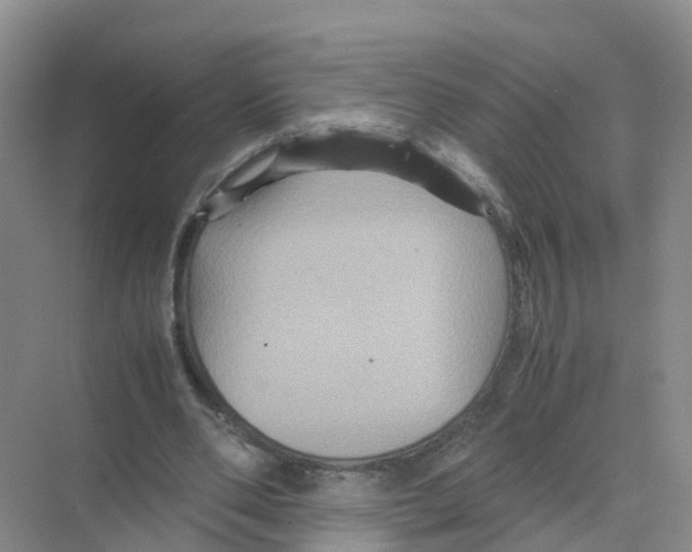 X0000070170486200606231925