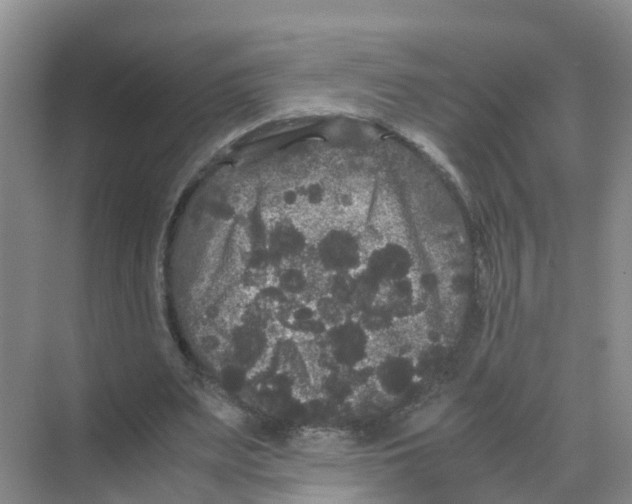 X0000070170487200606231925