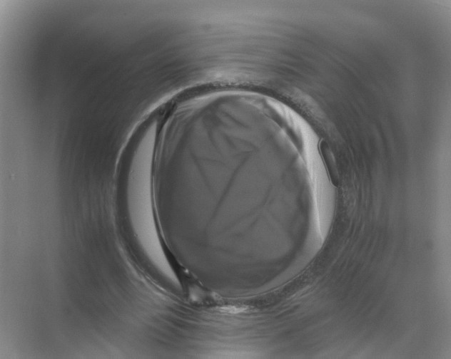 X0000070170488200606231925