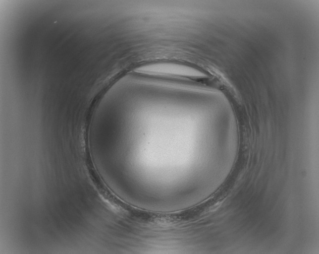 X0000070170489200606231925