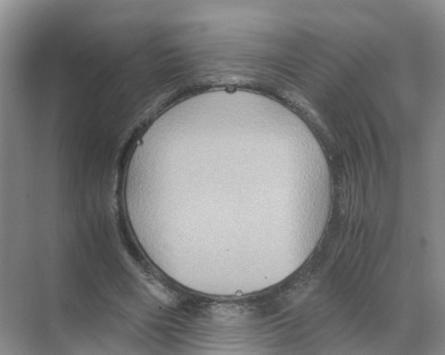 X0000070170490200606231925