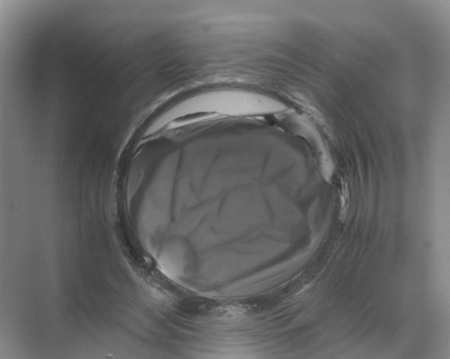 X0000070170492200606231925