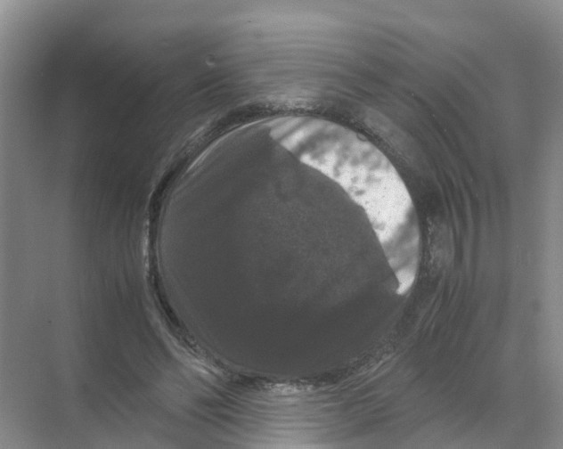 X0000070170494200606231925