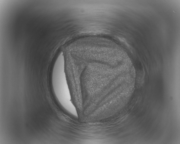 X0000070170495200606231924