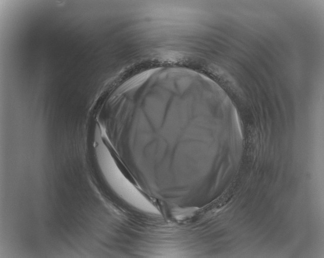 X0000070170496200606231924