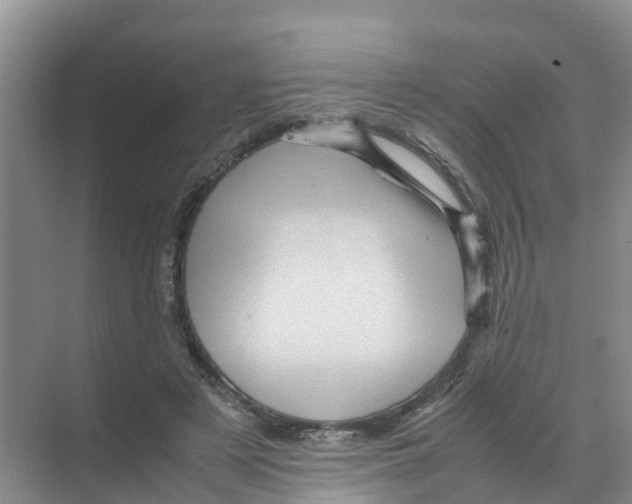 X0000070170497200606231924