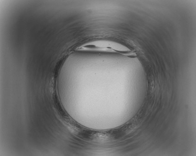 X0000070170498200606231924