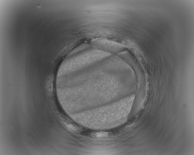 X0000070170501200606231924