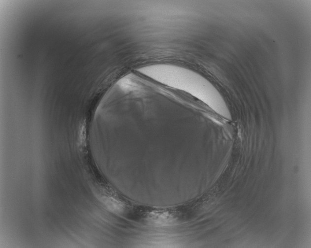 X0000070170502200606231924