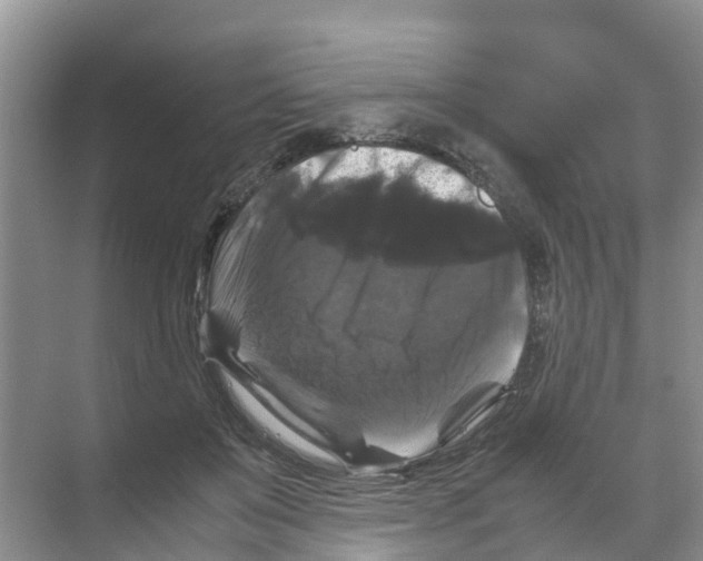 X0000070170503200606231924