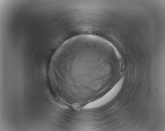 X0000070170504200606231924