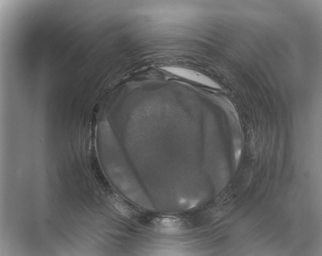 X0000070170506200606231924