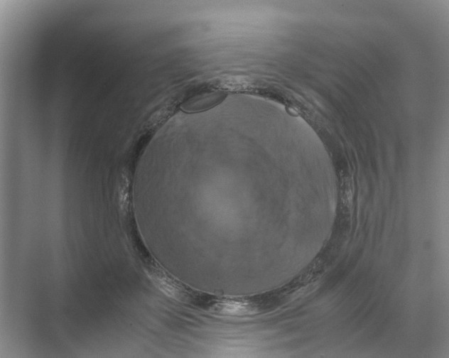 X0000070170507200606231924