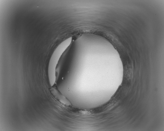 X0000070170509200606231924