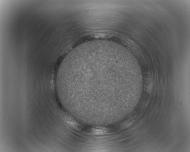 X0000070170510200606231924