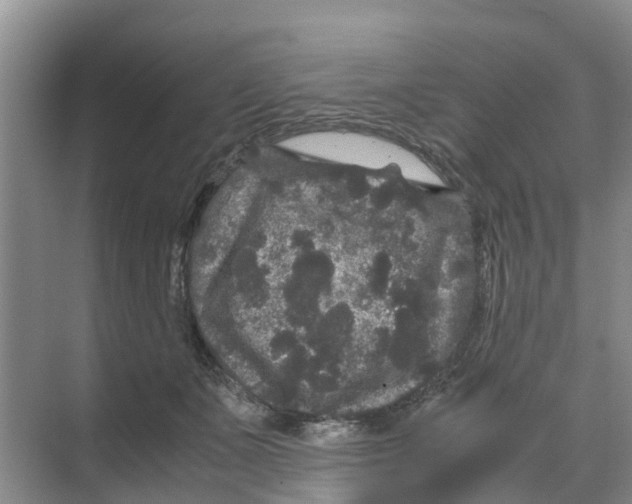 X0000070170511200606231924