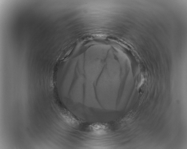 X0000070170512200606231924