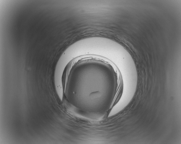 X0000070170513200606231924