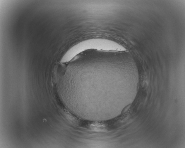 X0000070170515200606231924