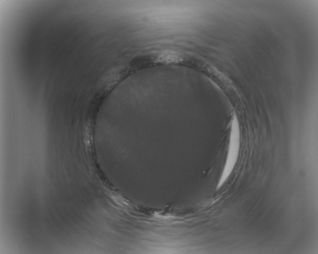 X0000070170517200606231924