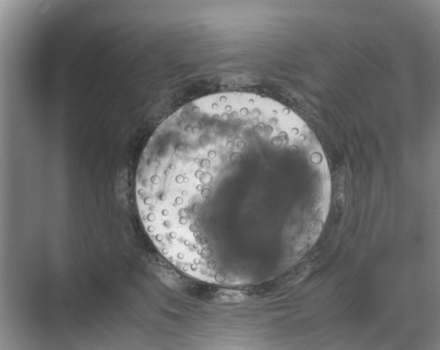 X0000070170519200606231924