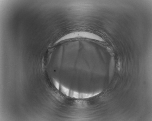 X0000070170520200606231924