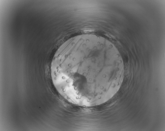 X0000070170523200606231924